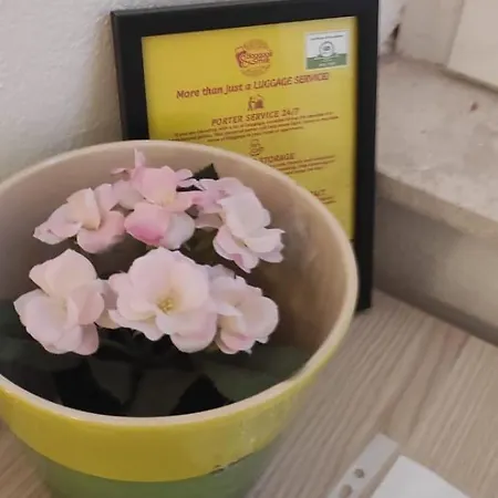 Apartament Simply Dubrovnik Nikole Bozidarevica 2 A B C D Zewnętrze zdjęcie
